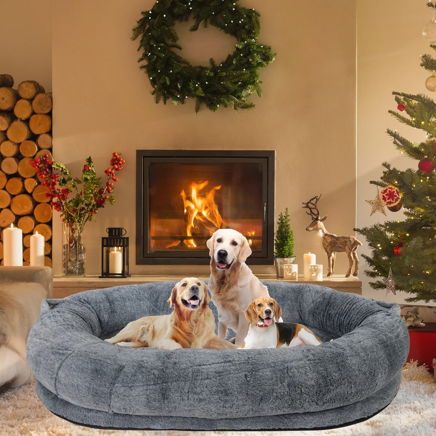 Luxury Pet Bed for You & Your Dog