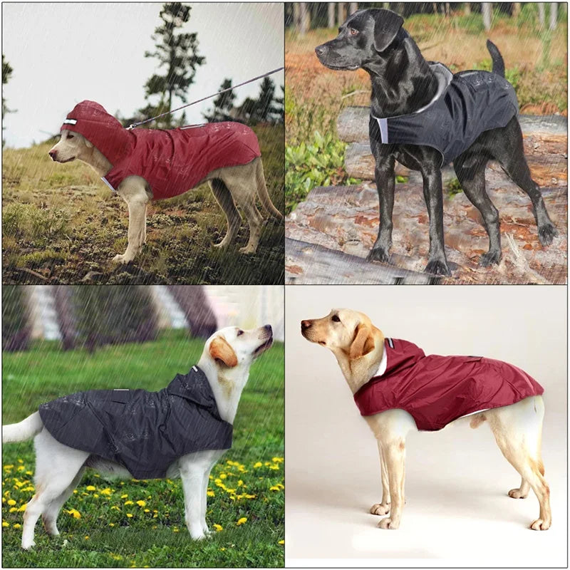 Stay Dry and Stylish: Waterproof Dog Raincoat for All Breeds!