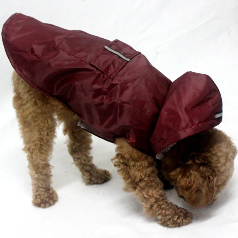 Stay Dry and Stylish: Waterproof Dog Raincoat for All Breeds!