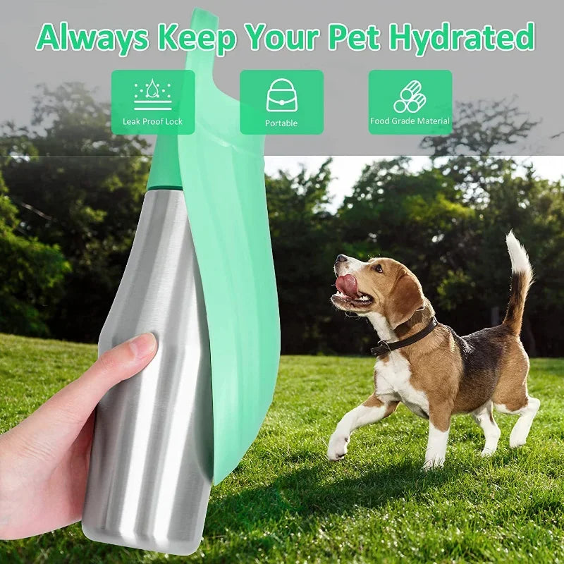 Stainless Steel Travel Water Bottle for Dogs