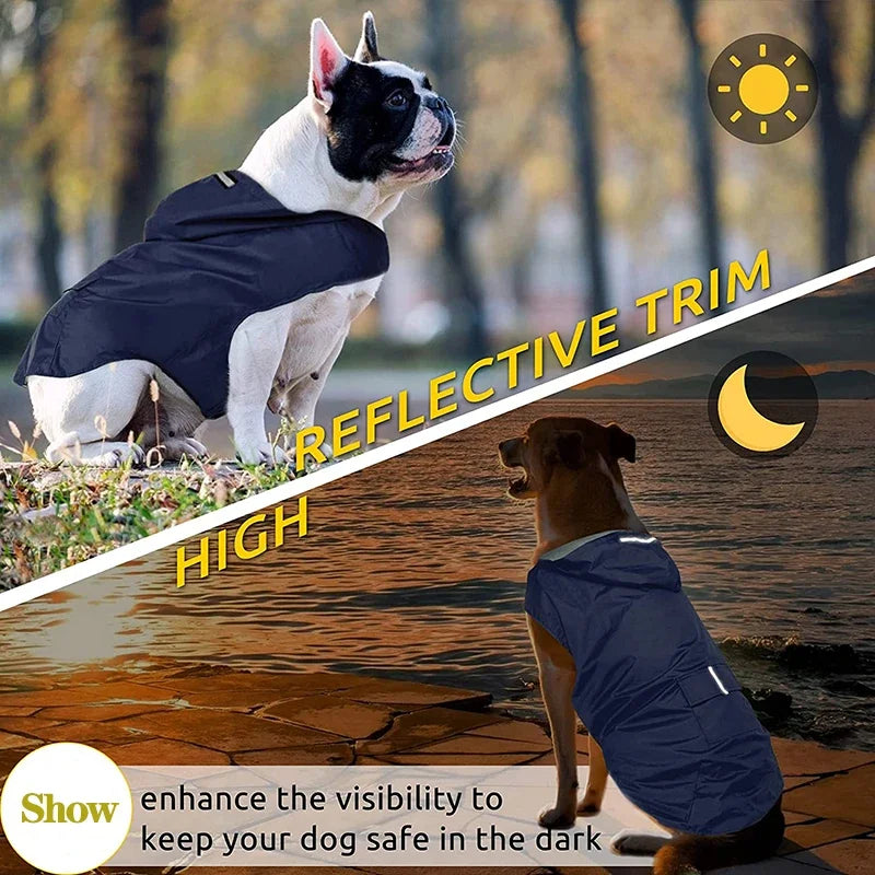 Stay Dry and Stylish: Waterproof Dog Raincoat for All Breeds!