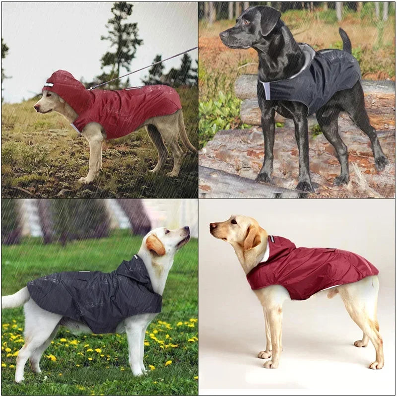 Stay Dry and Stylish: Waterproof Dog Raincoat for All Breeds!