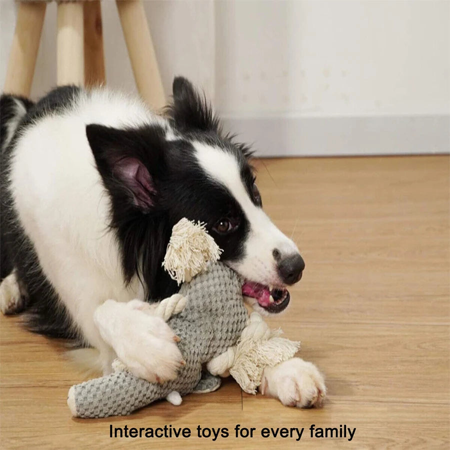Dog Toy For Small & Medium Dogs