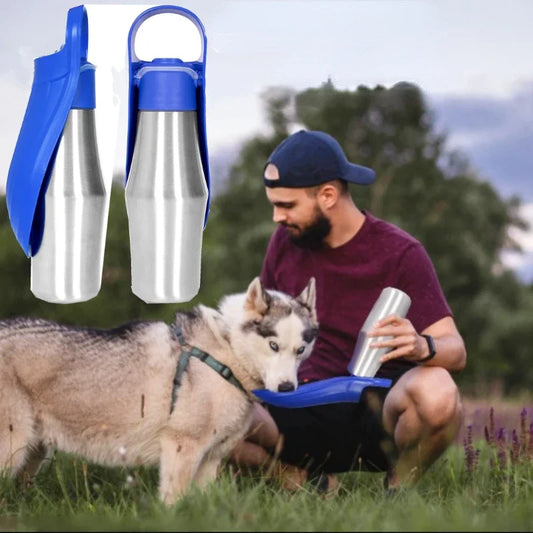 Stainless Steel Travel Water Bottle for Dogs