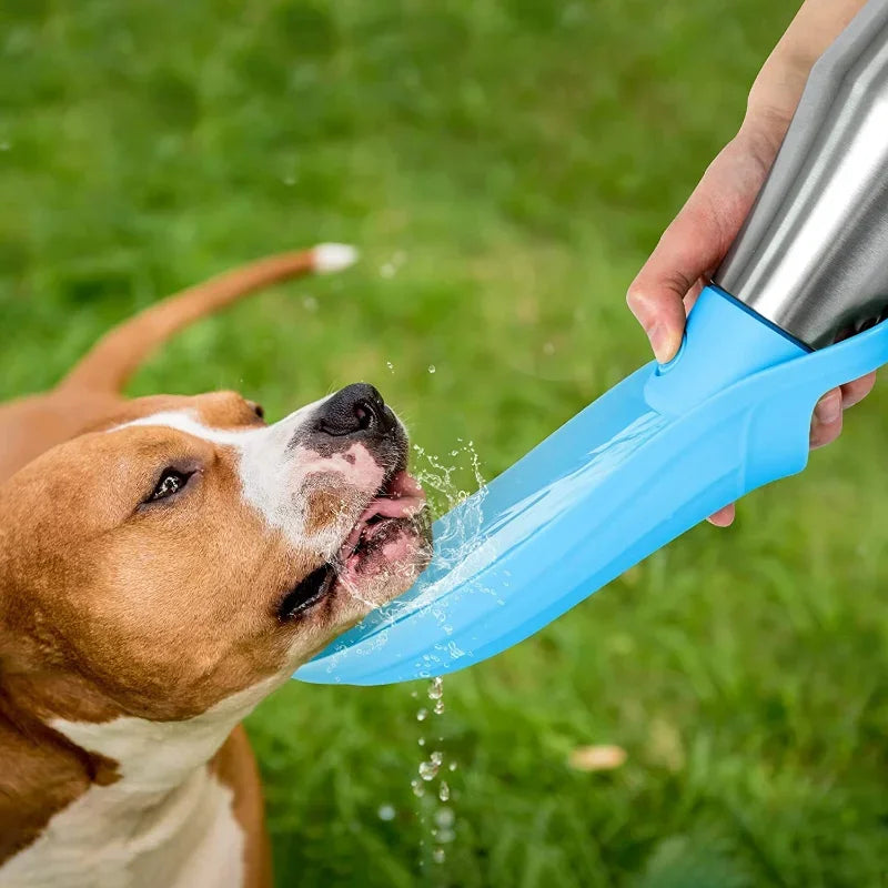 Stainless Steel Travel Water Bottle for Dogs
