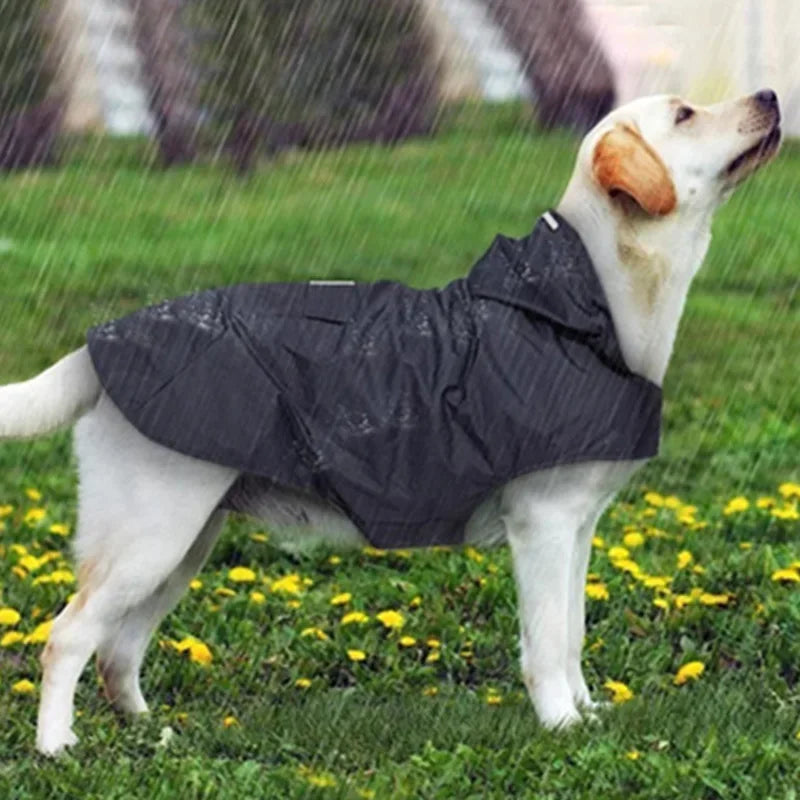 Stay Dry and Stylish: Waterproof Dog Raincoat for All Breeds!