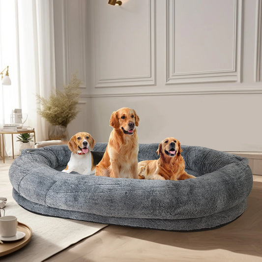 Luxury Pet Bed for You & Your Dog